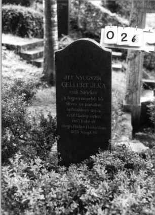 Grabstein 26 (Index: 100080073) Material: Granit Zustand: gut Maße HxBxT: 120x40x14 cm Beschreibung: konische Stele, Konvexbogenabschluß: Grabstein 26 (2)