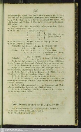 VIII. Bildungsanstalten für junge Bergarbeiter