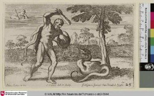 [Hercule combattant contre le dragon qui gardoit le jardin des Hesperides]