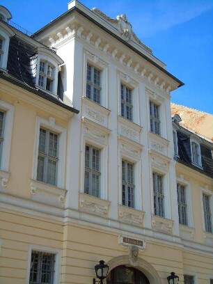 Plauen - Kaufherrenhaus : Historisches Kaufherrenhaus in der Nobelstraße. Aufgenommen am 28. März 2012 in der Innenstadt von Plauen im Vogtland