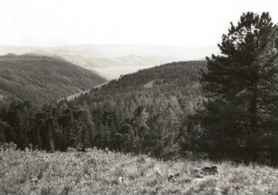 Bogdo ola (Tschoibalsan ola) (2273 m). Blick von der Waldgrenze nach Süden auf die Steppe