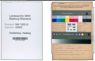 Entnazifizierung Hedwig Goldstrass , geb. 04.10.1897 (Prokuristin)