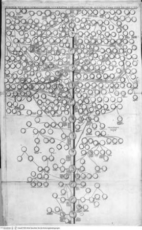 Speculum Romanae Magnificentiae, Stammtafel der Römischen Kaiser