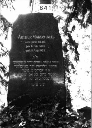 Grabstein 641 (Index: 100091387) Material: Granit Zustand: gut Maße HxBxT: 133x68x28 cm Beschreibung: Stele mit ungeradem Umriß: Grabstein 641