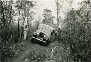 Trockener Wald auf dem Weg zwischen der Fazenda Arara und Santo Antônio