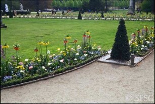 Potsdam, Park Sanssouci, westlicher Lustgarten, Blumenbepflanzung.