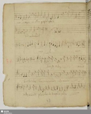 Sartorius, Thomas: Christe salus mundi