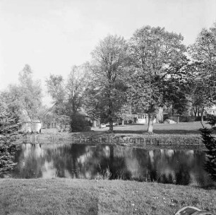 Dorfteich mit Bäumen: im Hintergrund Häuser