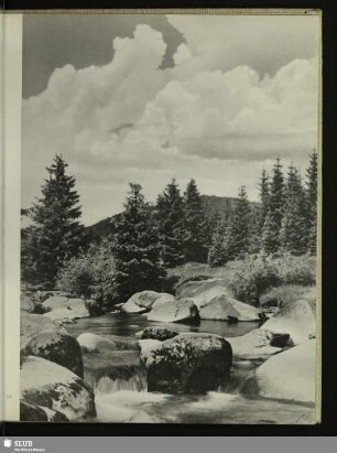 72 ... die Bode bei Schierke