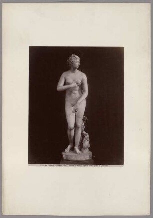 Firenze: Venere de'Medici, celebre lavoro greco di Cleomene, Galleria Uffizi, No. 3150 bis