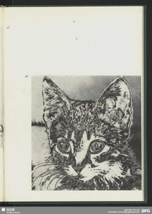 Katzenstudie