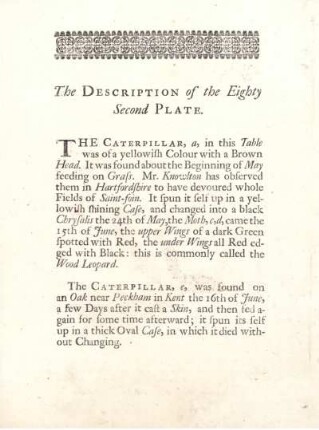 The Description of the Eighty Second Plate