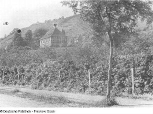 Blick auf das ehemalige kurfürstliche Weingut Hoflößnitz mit dem Weinberg "Goldener Wagen"