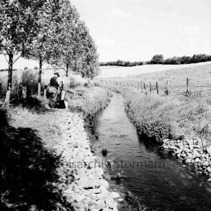Norderbeste: vorn Böschung nach Besatz mit Feldsteinen: links an Böschung Mann mit Schubkarre beim Ausschütten der Steine: dahinter Baumreihe: rechts auf Böschung Zaun: hinten Wiesen, Felder und Knicklandschaft