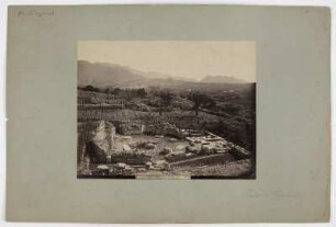 Salona