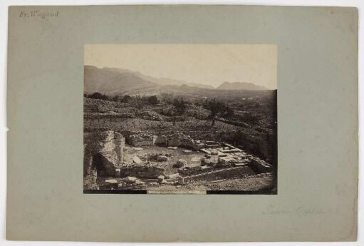Salona