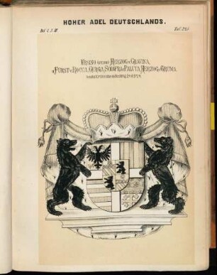 Taf. 245. Ursino (Ursini) Herzog v. Gravina, u. Fürst v. Rocca, Gurga Solofra u. Paluta, Herzog v. Gruma. Reichsfürstenstands. Bestätig. 24.8.1724.