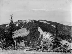 Bergblick : Blick über den Hang eines mit Bäumen bewachsenen Berges im Jura