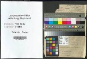 Entnazifizierung Peter Schmitz , geb. 14.09.1891 (Polizist)
