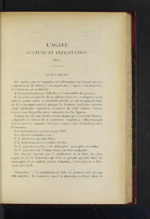 L'Agave Culture Exploitation.