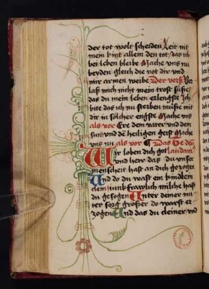 Fleuronnéinitiale, in den Ausläufern ein Vogel und eine Rosette