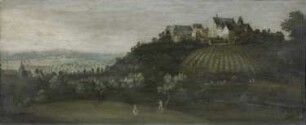 Die Burg Bolanden