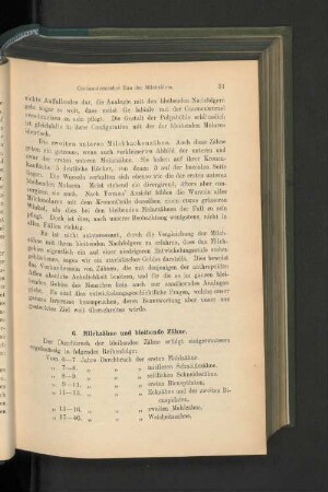 6. Milchzähne und bleibende Zähne.