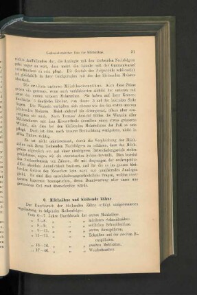 6. Milchzähne und bleibende Zähne.