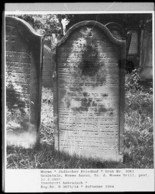 Grabstein des Moses Aaron, Sohn des Moses Brill (gestorben 1857.02.10)