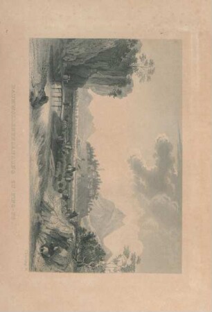 Baumwollenpflanzung zu Ning-po