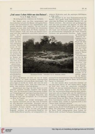 15: "Und neues Leben blüht aus den Ruinen"