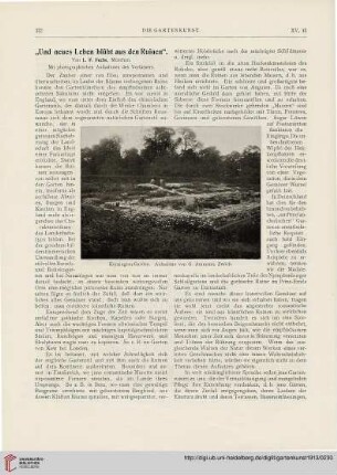 15: "Und neues Leben blüht aus den Ruinen"