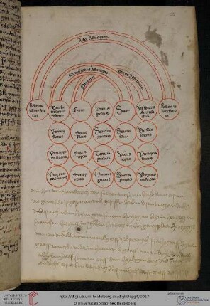 Arbor affinitatis