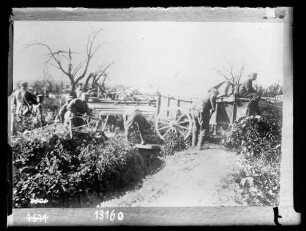 Materialtransport mit Pferdewagen