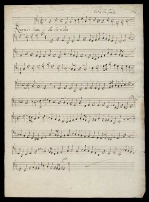 Viola da Gamba