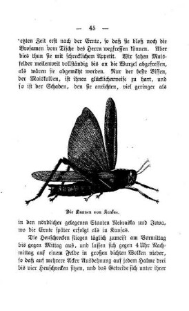 Die Hunnen von Kansas