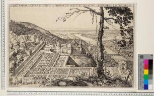 Der Hortus Palatinus und Schloss Heidelberg