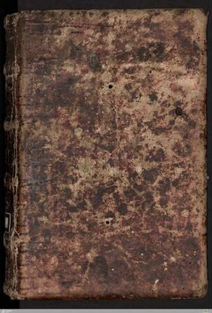 Circa instans - Cod.Don.808