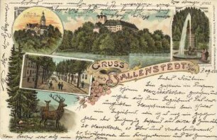 Ansichtskarte: GRUSS aus BALLENSTEDT a./ Harz.
