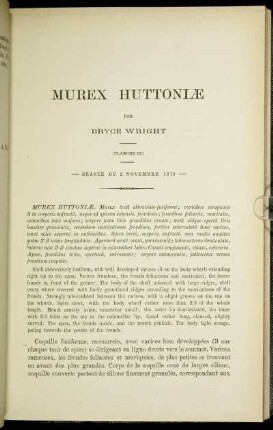 Murex Huttoniae. (planche IX)