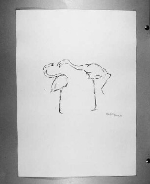 Streitende Flamingos : Streitende Flamingos. Kohlezeichnung (1963; E. Richter). Dresden-Striesen, Borsbergstraße 11, Atelier der Bildhauerin