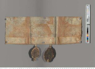 A1: Frater Friedrich, Propst des Augustinerchorherrenstifts Langenzenn. A2: Konvent des Augustinerchorherrenstifts Langenzenn. S1: A1. S2: A2. E: Abt Wernher und die Patres und Fratres des Klosters Michelfeld. Betreff: Aufnahme in die Gebetsbruderschaft.
