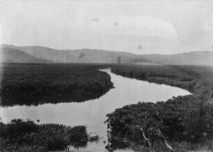 Kagera : Blick vom Ufer auf den Fluss Kagera und die umliegende Landschaft
