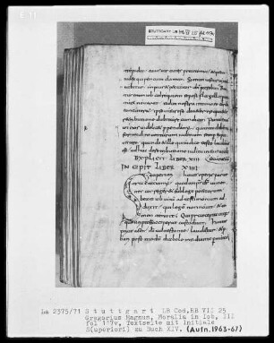 Gregorius Magnus, Moralia pars 3 — Initiale S(uperiori), Folio 117verso