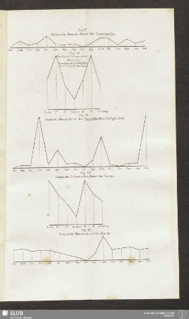 Fig. 19. Sismische Monats-Kurve des Vierwaldstätter Stossgebietes