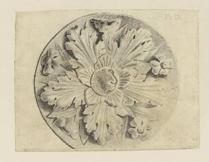 Rosette (Bauornament, Britisch, Taf. 13)
