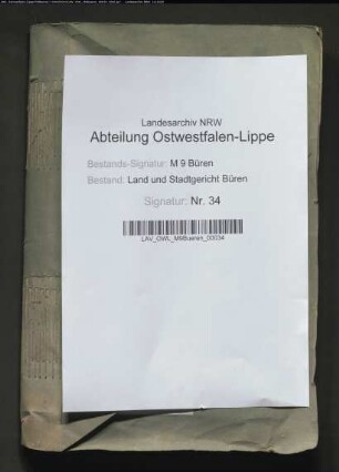 Handlungen der freiwilligen Gerichtsbarkeit (Actus voluntariae jurisdictionis): Handlungen der freiwilligen Gerichtsbarkeit