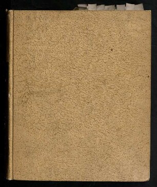 Dissertatio Inauguralis Medico-Practica De Phrenitide