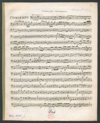 Violoncello e Contrabasso