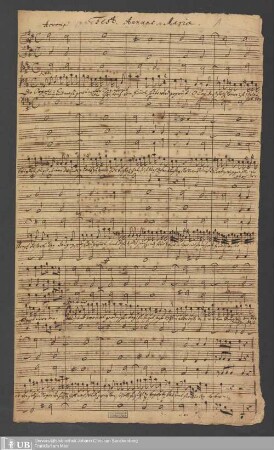 Ms. Ff. Mus. 1302 - Fest. annunc. Mariae
